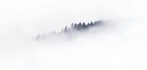 L'AVENIR DE NOS MONTAGNES 6